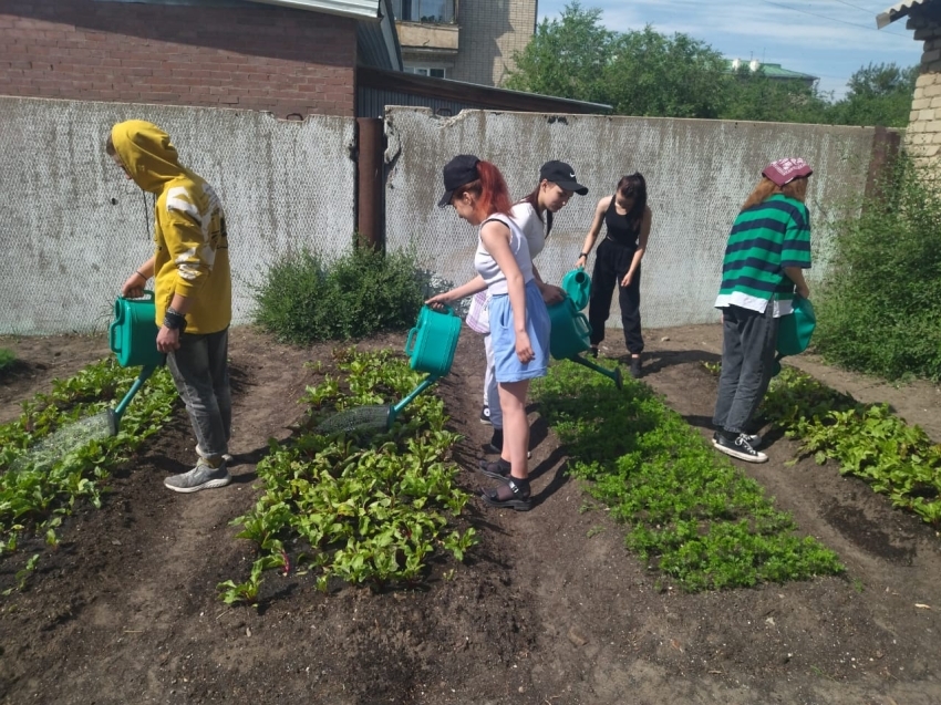 Зарплату за посадку цветов получат школьники Краснокаменска